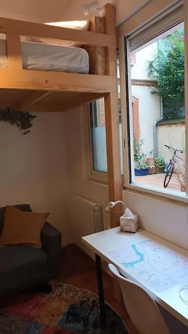 Petit Mignon - Hypercentre Toulouse Apartment