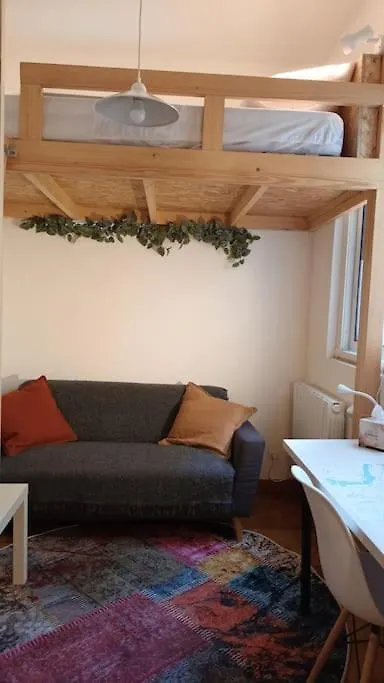 Petit Mignon - Hypercentre Toulouse Apartment