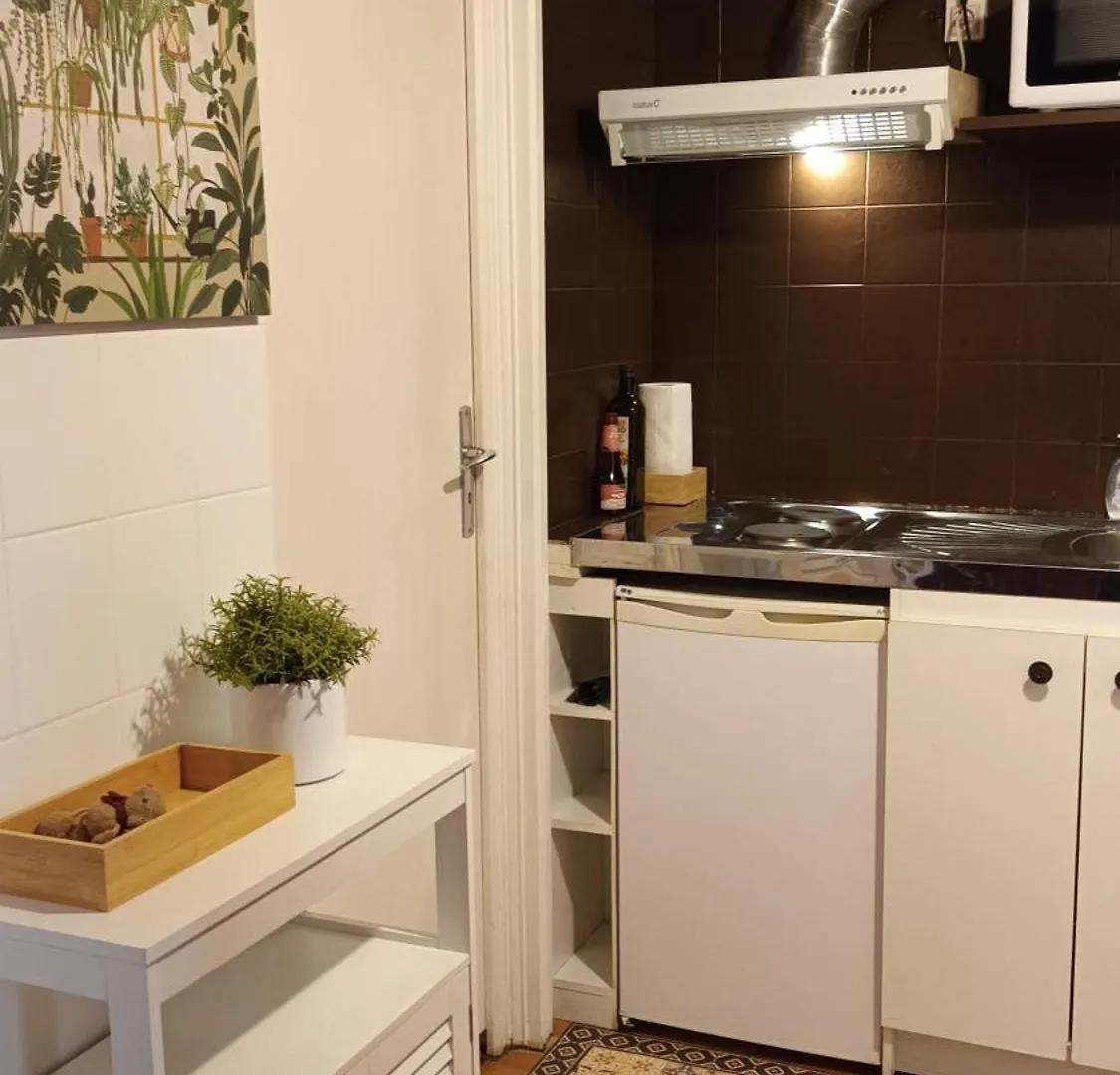 Petit Mignon - Hypercentre Toulouse Apartment 0*,