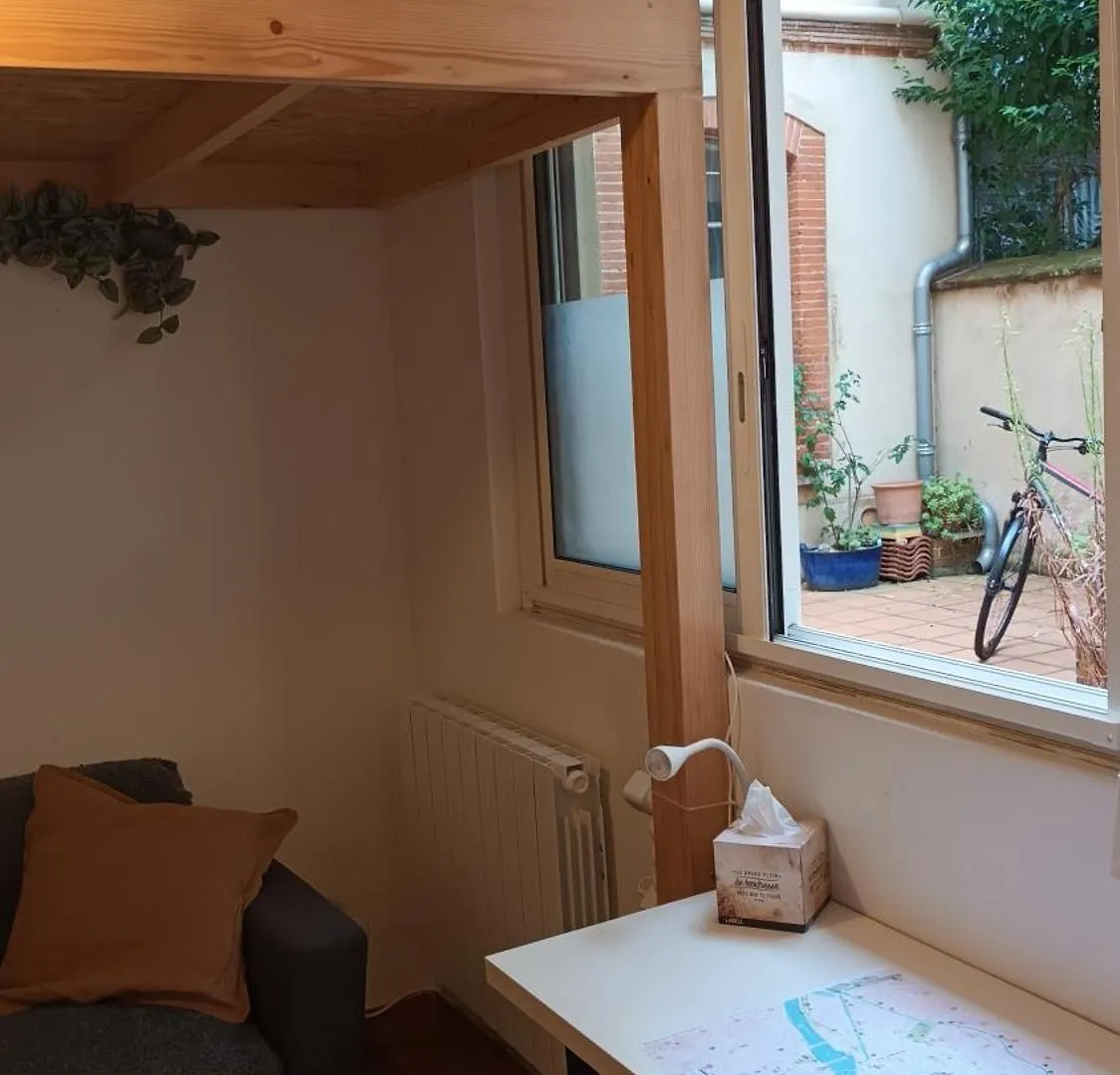 Petit Mignon - Hypercentre Toulouse Apartment